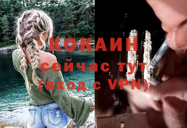 дурь Киреевск
