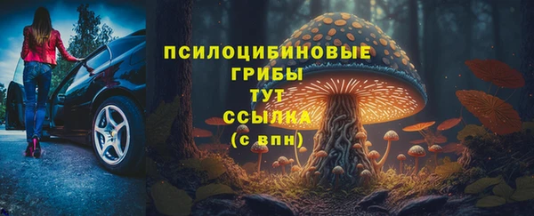 экстази Козельск