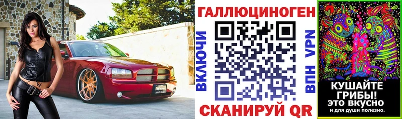 Купить где  Аркадак  Псилоцибиновые грибы ЛСД 